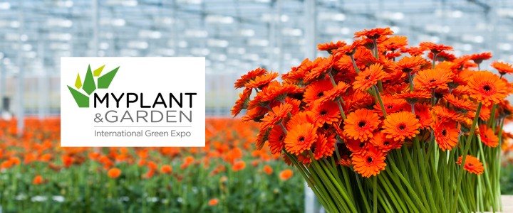 Tenartis a Myplant & Garden 2016