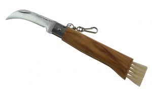 Coltello per funghi in ulivo Codega Premana